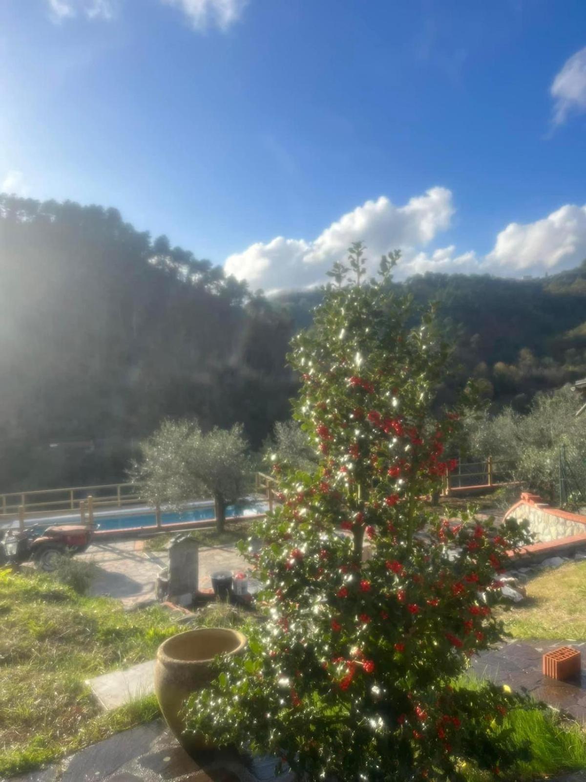 Podere Il Glicine Wellness Charme & Relax Fresonara  Buitenkant foto